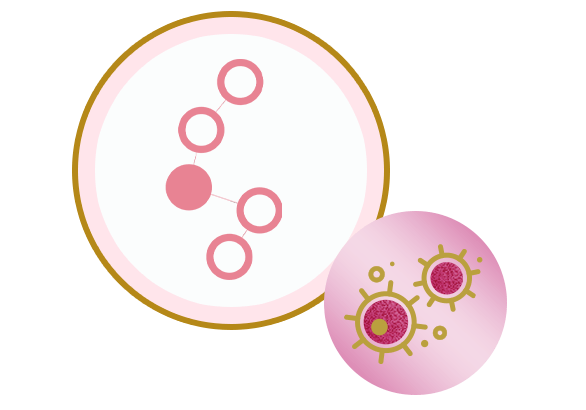 5 des principaux oligosaccharides du lait maternel3