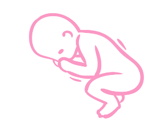 Développement du bébé à 32 semaines de grossesse