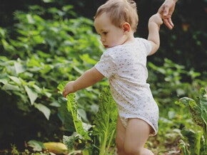Pourquoi le fer est-il important pour mon bébé ?  Les besoins en fer de bébé