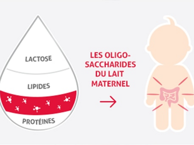 visuel-definition-oligosaccharides